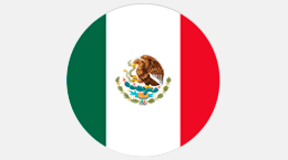 Bandera mexico 1